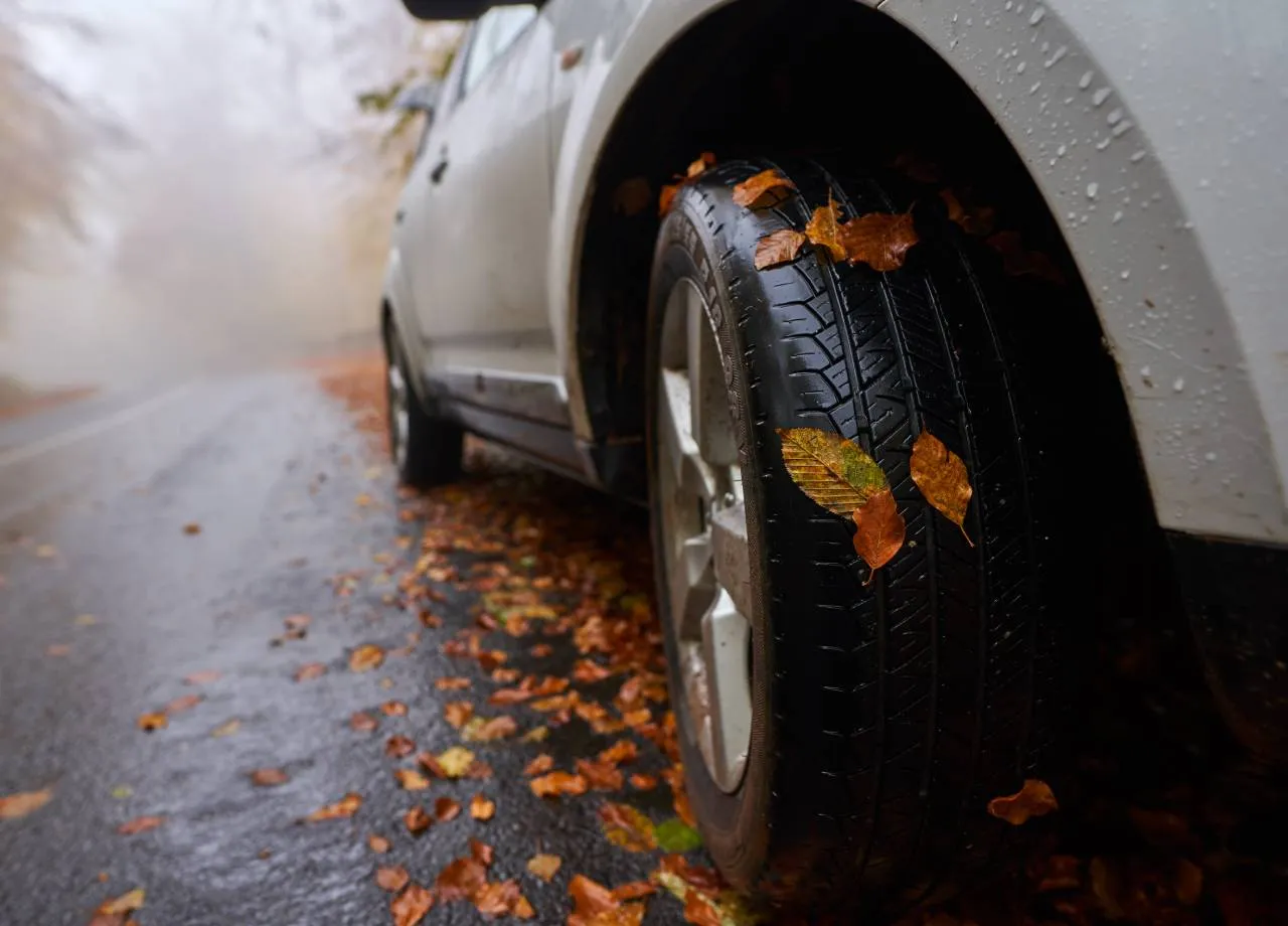 10 Herbstgefahren, die Autofahrer auf dem Zettel haben sollten