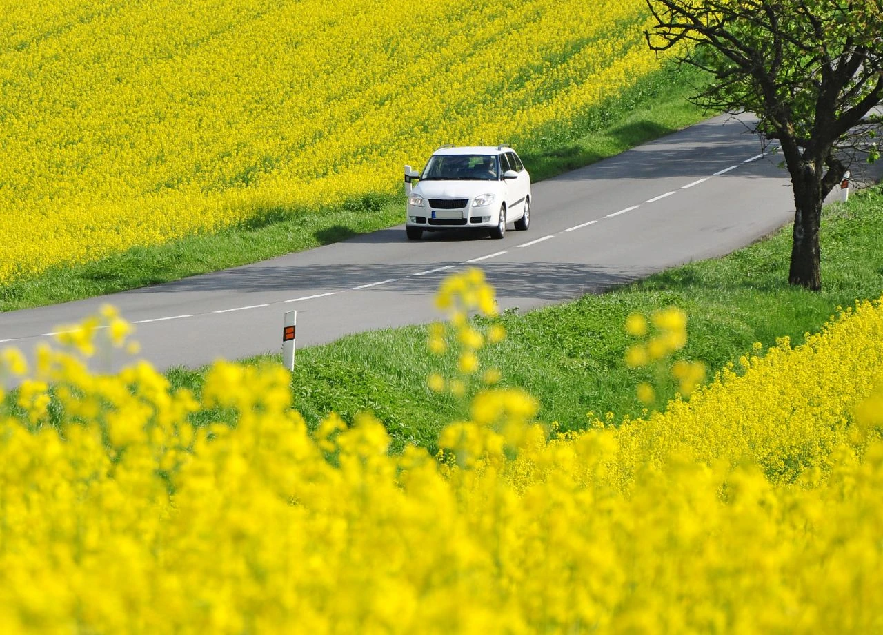 Frühjahrs-Check fürs Auto: Drei Dinge, die man im März prüfen sollte